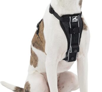 Kurgo Dog Harness | Pet Walking Harness | Medium | Black | No Pull Harness Front Clip Feature for Training Included | Car Seat Belt | Tru-Fit Quick Release Style