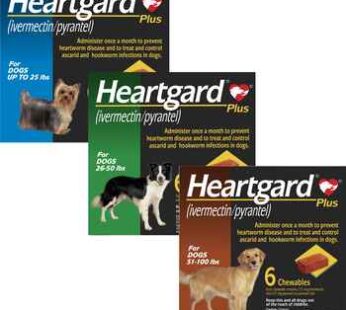 Heartgard Plus and NexGard Chewables