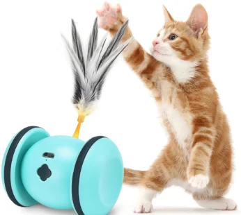 Interactive Cat Toys for Indoor Cats